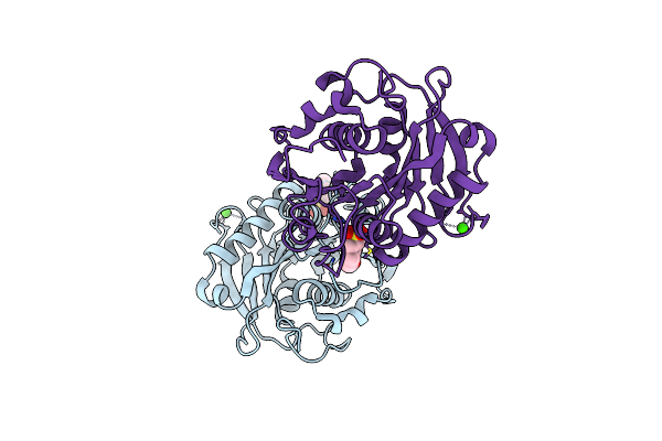 8IBL image