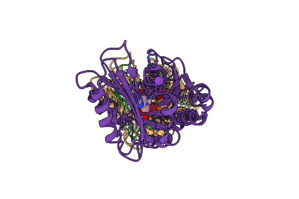 8IBN image