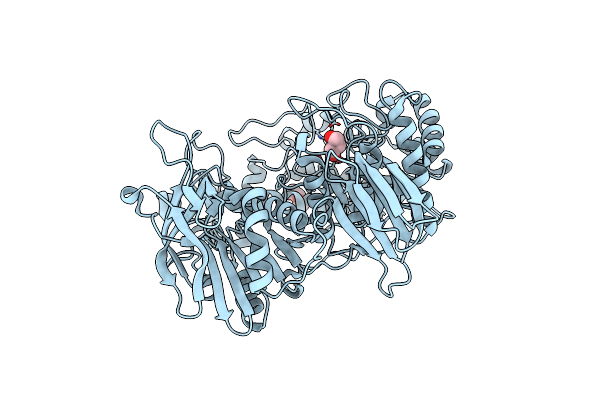 8IBR image