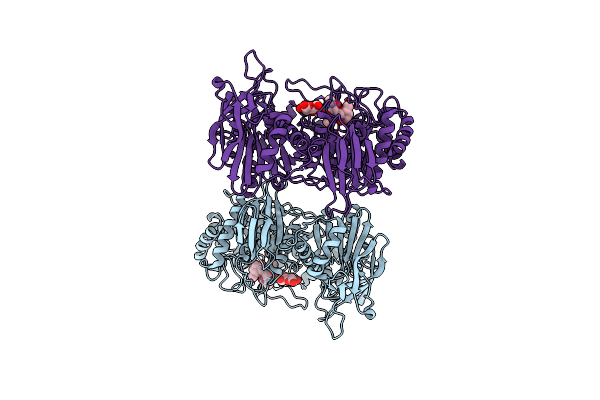 8IBT image