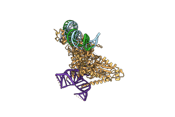 8IBW image