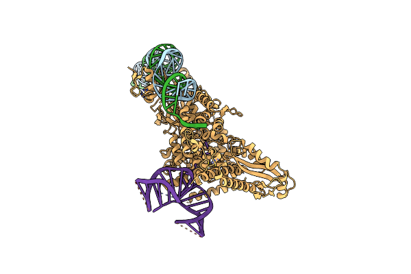 8IBX image
