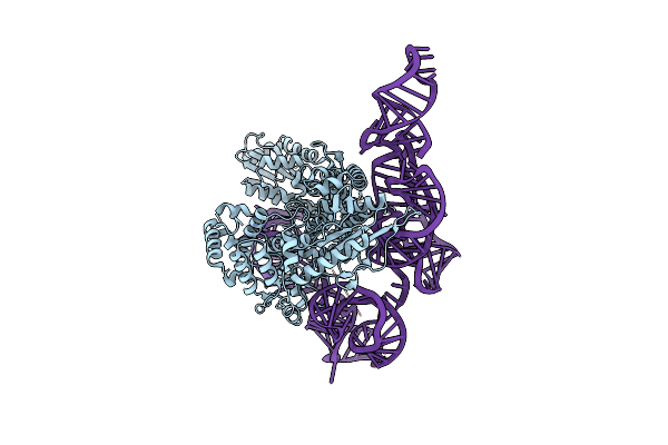 8IBY image