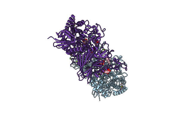 8IC7 image