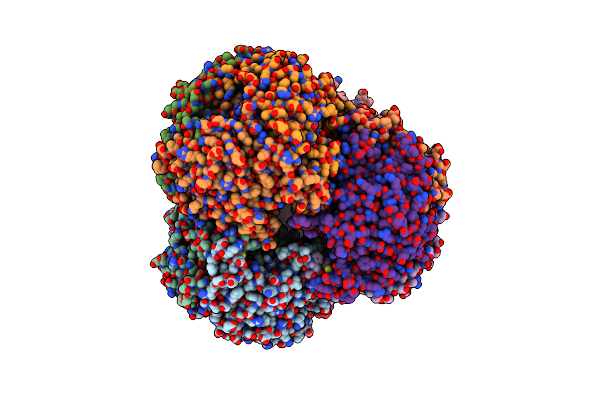 8IC8 image