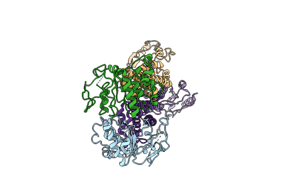 8IDB image