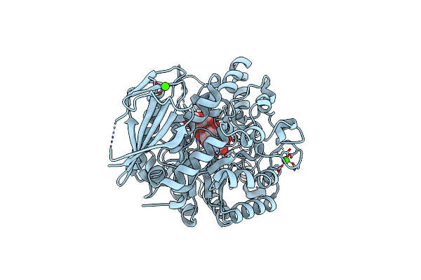 8IDS image