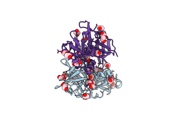 8IDX image