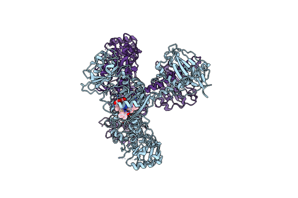 8IFF image
