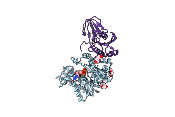 8IFX image