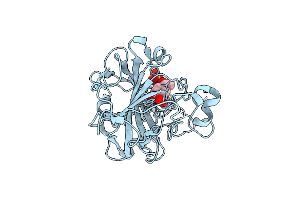 8IGF image