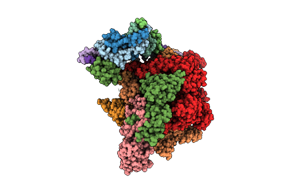 8IGR image