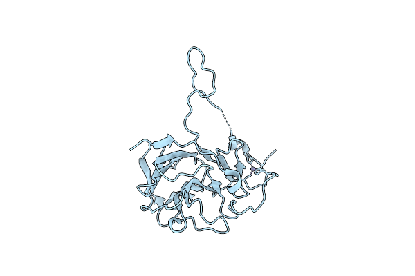 8IGT image