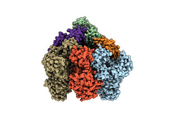 8IGU image