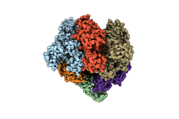 8IGV image