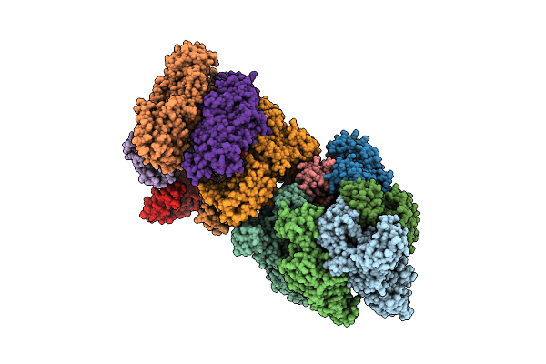 8IGW image