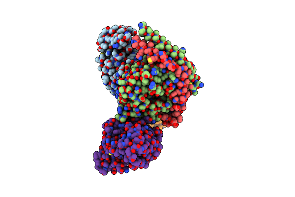 8IHF image
