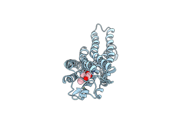 8IHK image
