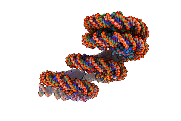 8IHL image