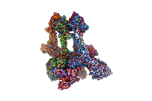 8IHP image