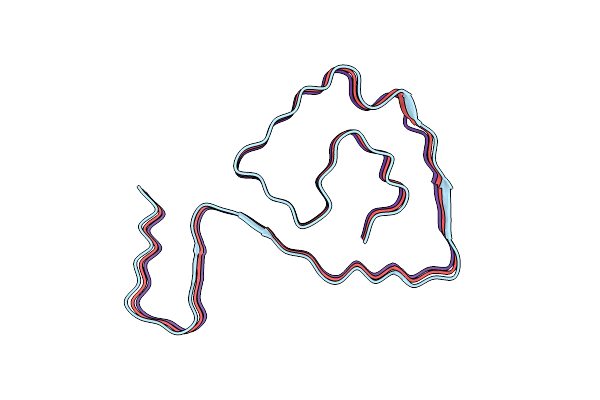 8IHV image