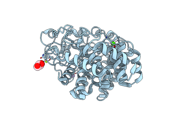8IHX image