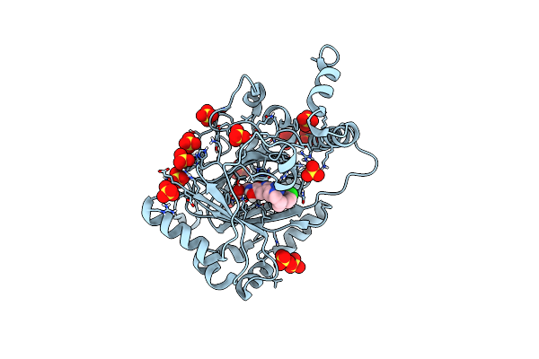 8IHZ image