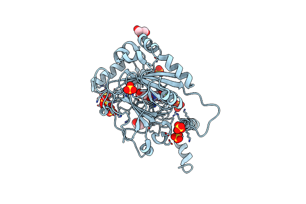 8II0 image