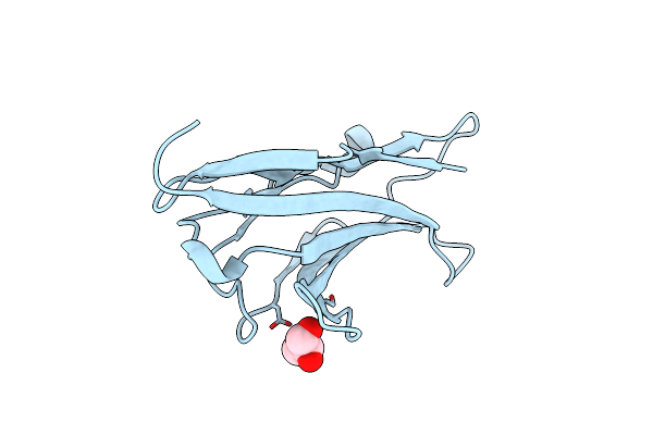 8IIA image