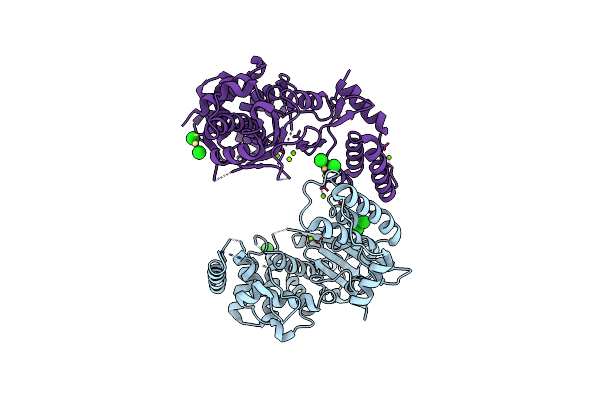 8IIB image