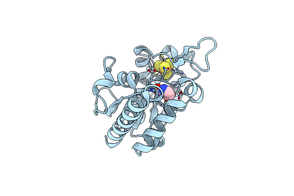 8IIE image