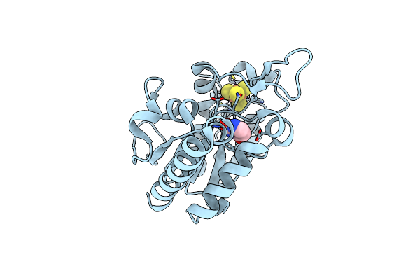 8IIL image