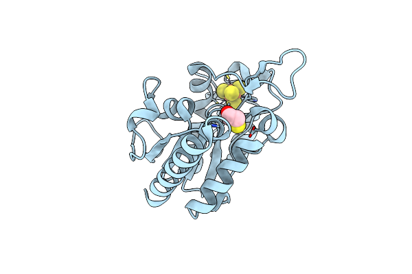 8IIR image
