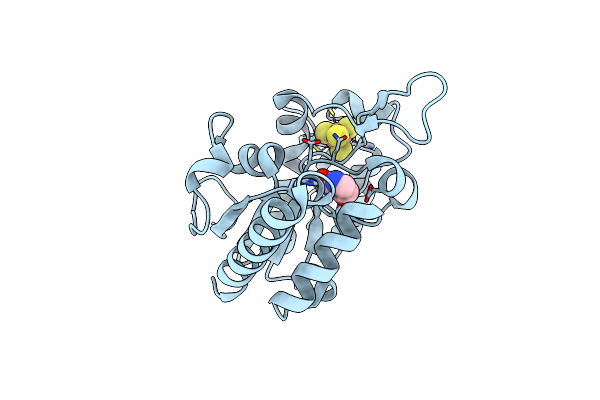 8IIT image