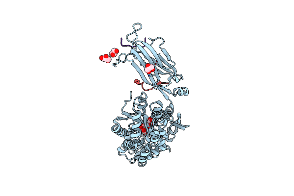 8IIZ image