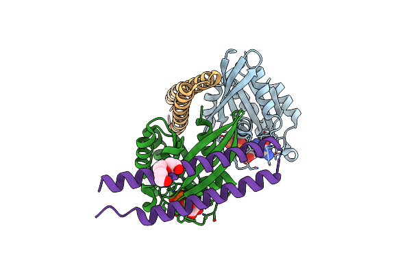 8IJ9 image