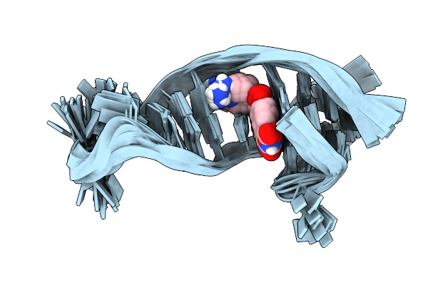 8IJC image