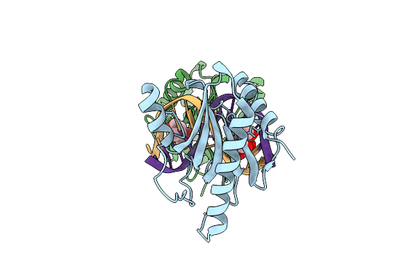 8IJO image