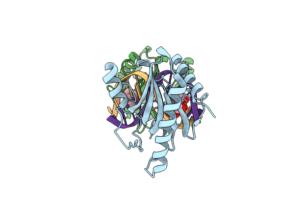 8IJP image