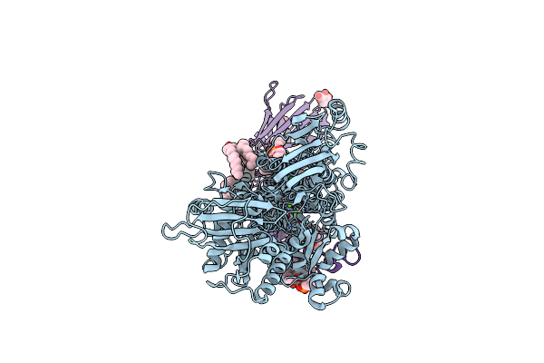 8IJV image
