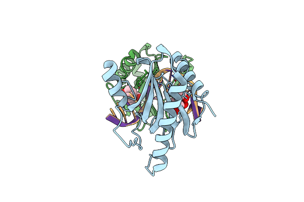8IKD image