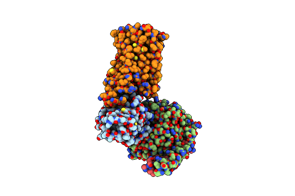 8IKG image