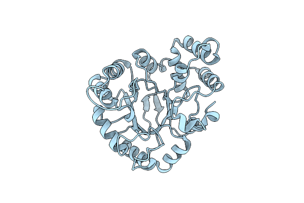 8IKU image