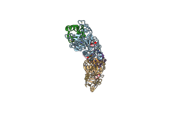 8IKV image