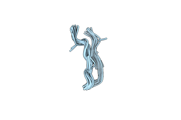 8IL2 image
