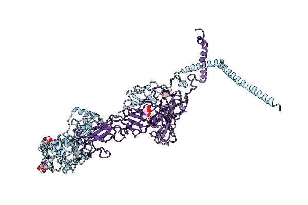 8ILQ image
