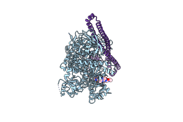 8ILR image