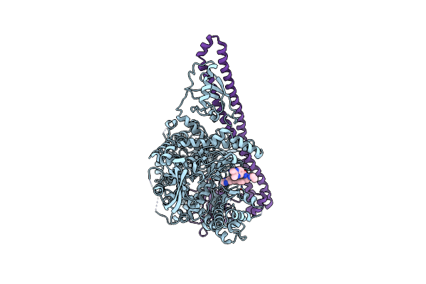 8ILS image