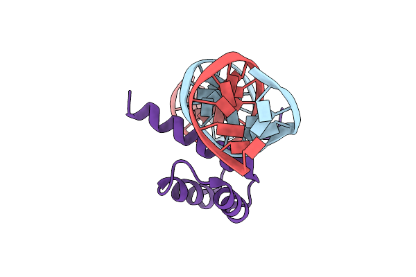 8ILW image