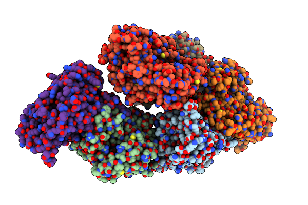 8IM2 image